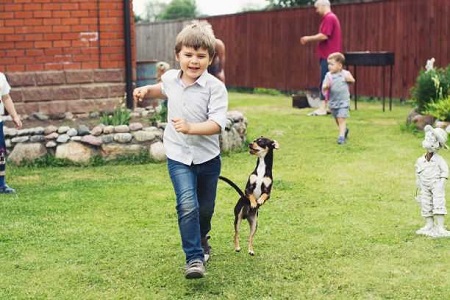 A young boy runs joyfully on grass with a small dog by his side in a backyard. Other children and an adult are visible in the background near a brick house and a wooden fence.