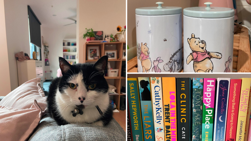 A collage with a black and white cat lounging on a couch, two jars featuring Winnie the Pooh illustrations, and a row of colorful books neatly arranged on a shelf.