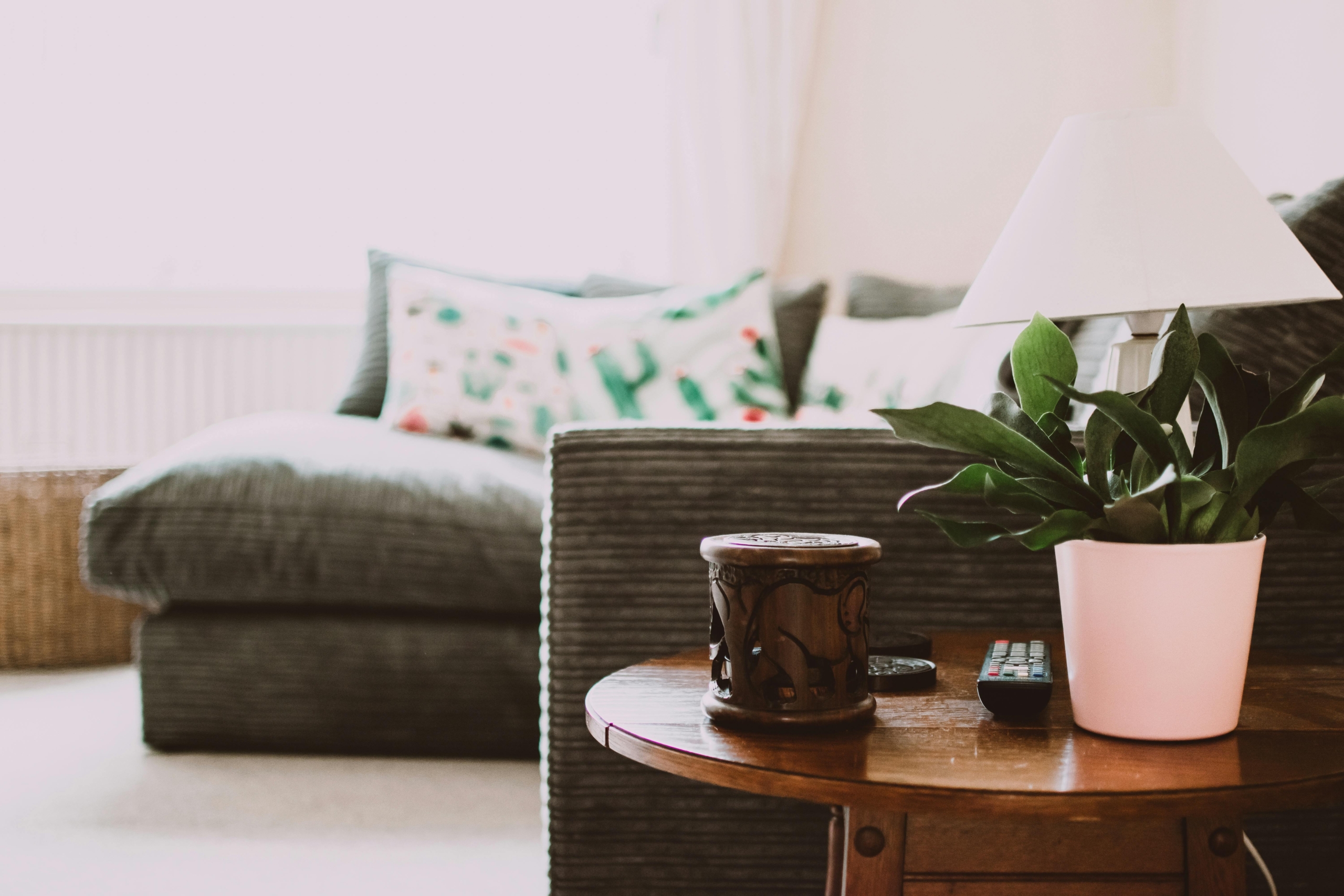A cozy living room features a gray sofa with colorful pillows in the background. In the foreground, a wooden table holds a potted plant, a white lampshade, a carved container, and two remote controls.