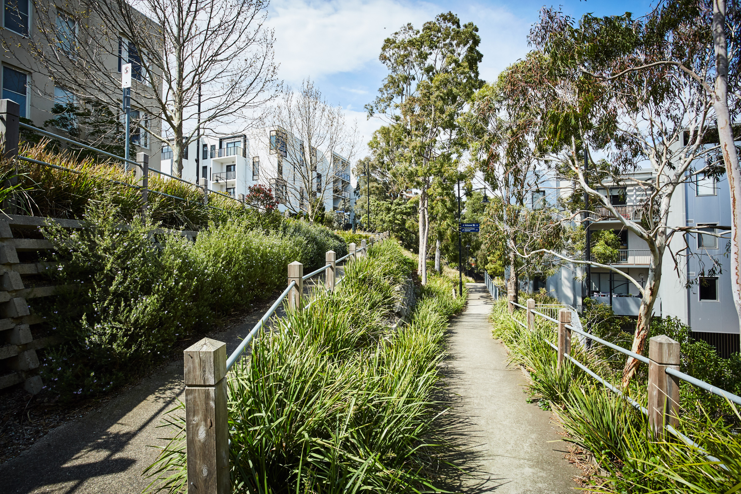 A narrow paved path lined with green plants and wooden railings runs between modern apartment buildings and trees on a bright, sunny day.
