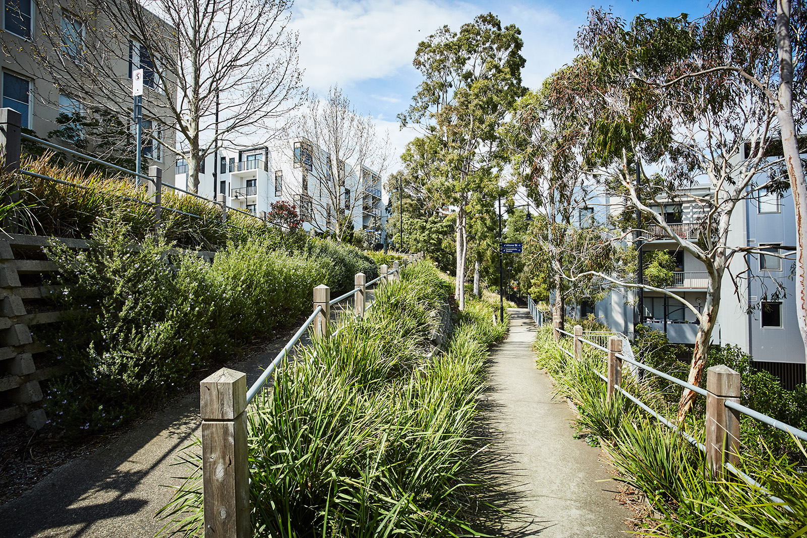 A sunny walkway lined with green plants and trees runs between modern apartment buildings, with railings on both sides and a clear blue sky above.
